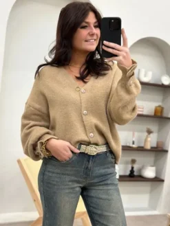 New Pull Beryl Camel Pulls Et Gilets